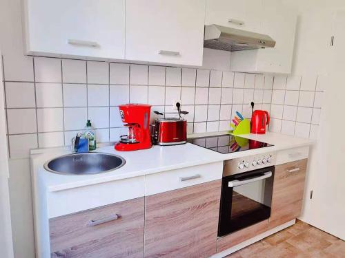 萊比錫的住宿－Gemütliches Apartment Nähe Hauptbahnhof，厨房配有水槽和台面