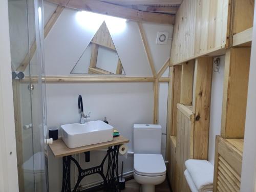 a bathroom with a sink and a toilet at Młyn Hipolit glamping in Nowy Gaj