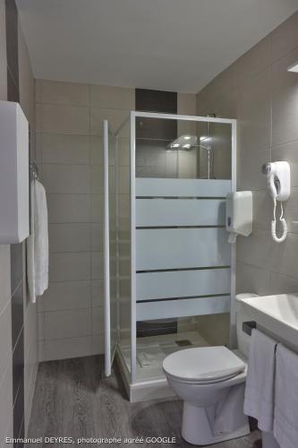 a bathroom with a shower and a toilet and a sink at Queen Serenity Hotel in Redon