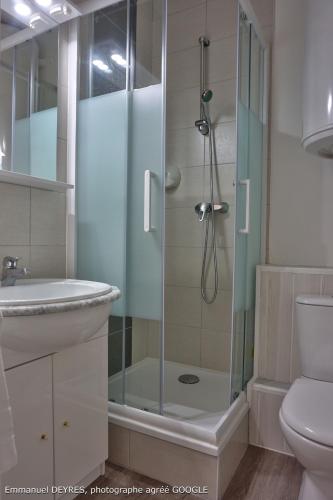 a bathroom with a shower with a sink and a toilet at Queen Serenity Hotel in Redon