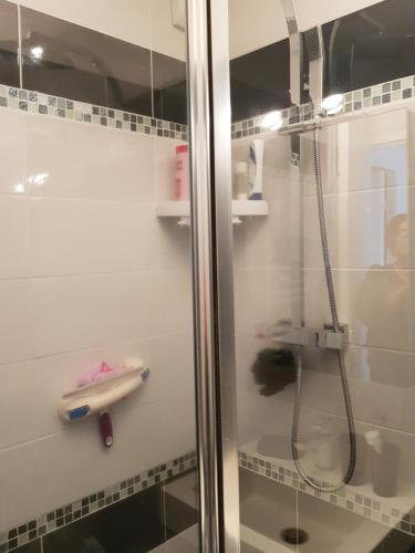 eine Dusche mit Glastür im Bad in der Unterkunft le saule in Canteleu