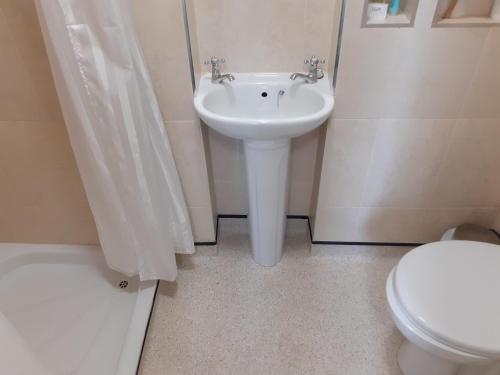 a bathroom with a sink and a toilet at Redclyffe Guesthouse in Cork