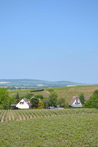 Příroda nedaleko bed and breakfast