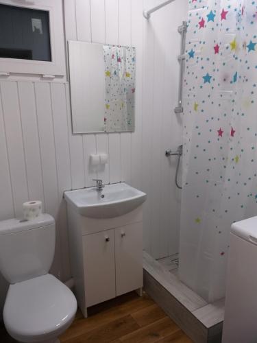 biała łazienka z toaletą i prysznicem w obiekcie Domek N5 - 2 Pokoje , Kuchnia , Łazienka 5 osobowy - FreezerHause Izdebno- NoclegiGrodziskPL w mieście Grodzisk Mazowiecki