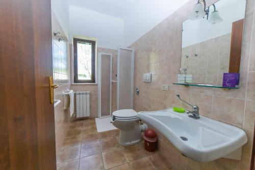 a bathroom with a sink and a toilet and a mirror at Agriturismo Bella Cima in Montefiascone