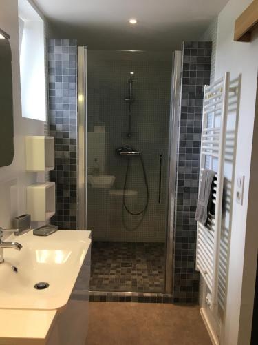 une salle de bain avec douche et lavabo dans l'établissement Les Vallées, à Fondettes