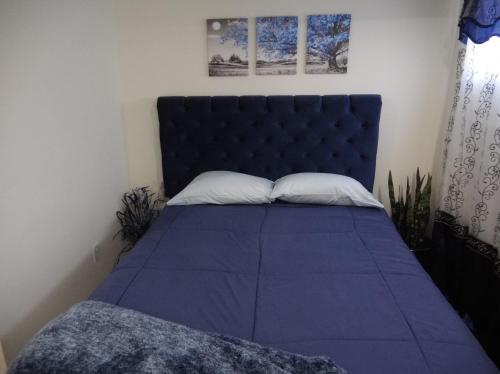 a bedroom with a blue bed with two pillows at THE BLUE ROOM Luxury suite in Dover