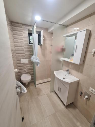 a bathroom with a sink and a toilet at Portorož Apartments in Portorož