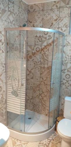 a shower with a glass door in a bathroom at Casa boierului Imbri in Cârțișoara
