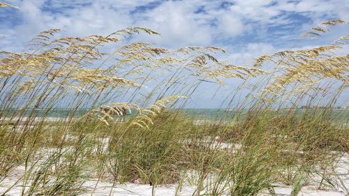 Gallery image of Hotel Del-Fino in St. Pete Beach
