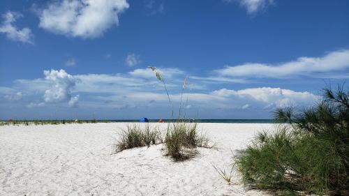 Gallery image of Hotel Del-Fino in St. Pete Beach