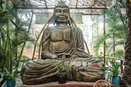 une statue d'un buddha dans un jardin dans l'établissement Casa del Sol, à Montañita