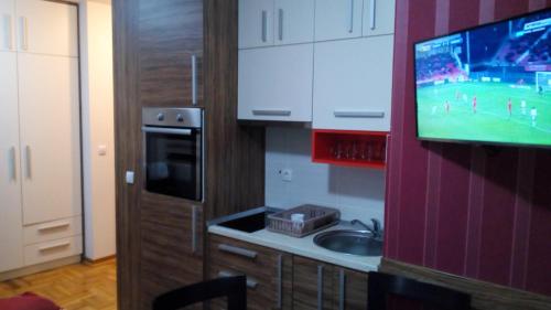 uma cozinha com um lavatório e uma televisão na parede em Zlatibor Katarina apartman em Zlatibor