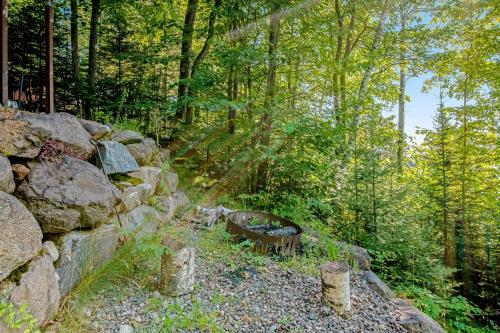 Lakeside Lookout