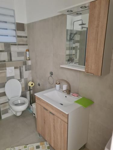 a bathroom with a sink and a toilet and a mirror at Apartments Zahtila - Pina in Rabac