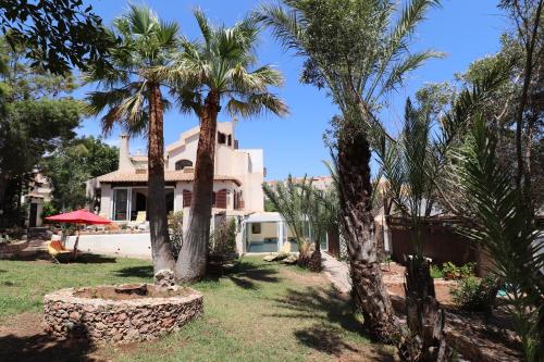 une maison avec des palmiers devant elle dans l'établissement Castillo Odalbodsol, à Cap de Palos