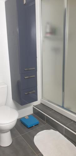 a bathroom with a white toilet and a shower at Echo du Maquis in Penta-Acquatella