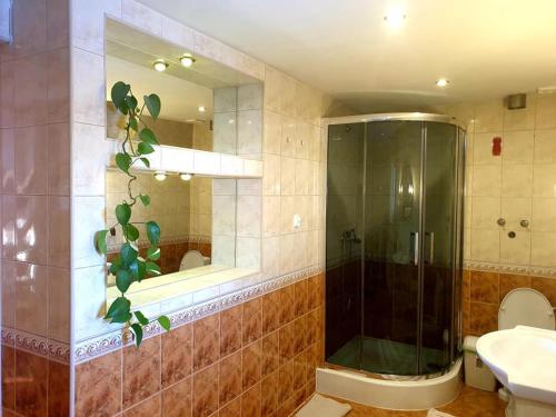 y baño con ducha, lavabo y espejo. en Domki u Hani 2, en Murzasichle