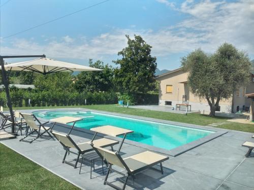 a swimming pool with chairs and a table and an umbrella at Villa Elisa in Pietrasanta