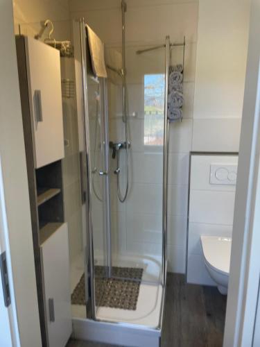 a shower in a bathroom with a toilet and a sink at Birkensteiner Sonnenblick in Fischbachau