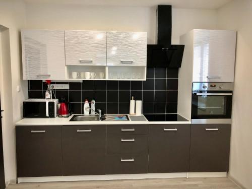 eine Küche mit grauen Schränken und einer Spüle in der Unterkunft Apartmány Zahrádky in Hráz