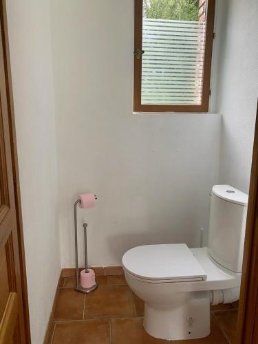 a bathroom with a white toilet and a window at Chambre d'Hotes La Chaiserie in Romeries