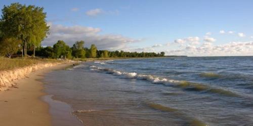 a sandy beach with trees and the ocean at Innlet Motel in Sturgeon Bay