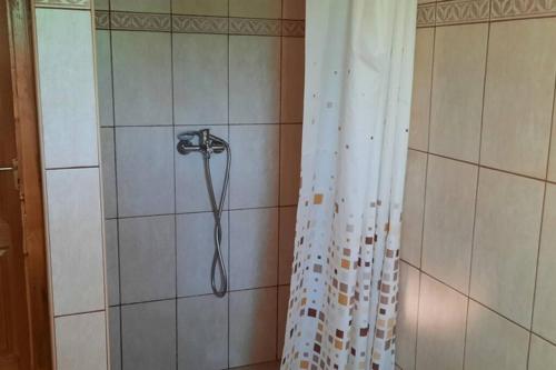 ducha con cabezal de ducha y cortina de ducha en Andrea nyaralóház en Kővágóörs