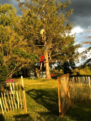 a person jumping off a tree in a yard at Côte du Jardin in Pouillé