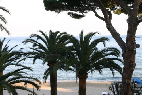 a view of a beach with palm trees and the ocean at Residence Principi di Piemonte in Alassio