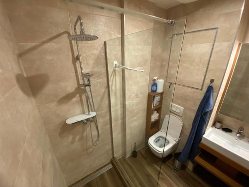a bathroom with a shower and a toilet and a sink at Apartmány Veternica v Bernarde in Smokovce