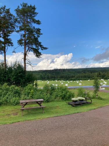 a park bench and a table with flowers on the grass at Gård Mörbacka Bed & Breakfast in Mörbacka