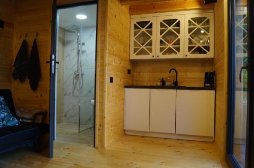 uma cozinha com um lavatório e um chuveiro num quarto em Mały domek w Dolinie Prądnika em Sułoszowa