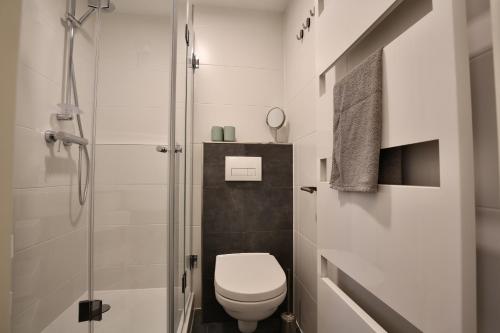 a small bathroom with a toilet and a shower at Ferienwohnung Gustav - Moderne Maisonette-Wohnung mit Terrasse in Wangerooge
