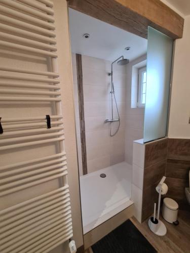 a bathroom with a shower with a glass door at Le doux sapin in Lembach