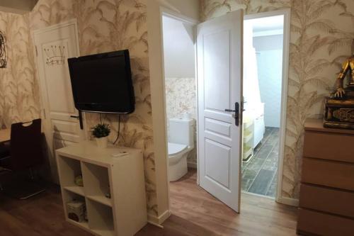 uma casa de banho com WC e uma televisão na parede em Trés beau studio 35 M2 Entre Mer et Forêt grand jardin et douche tropicale em La Seyne-sur-Mer