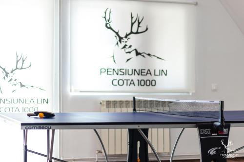 a ping pong table in front of two posters at Pensiunea LIN COTA 1000 in Sinaia