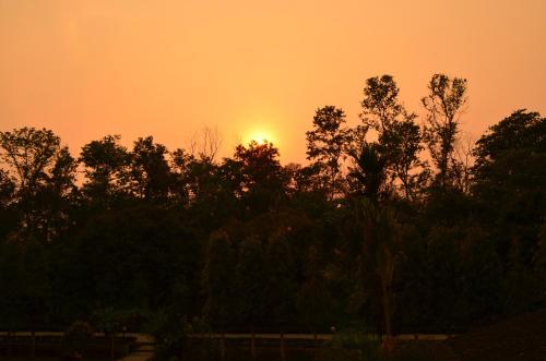 an orange sky with the sun setting behind trees at Hotel Hermitage in Sauraha
