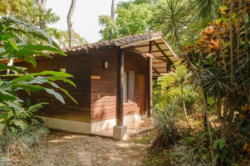 a small house in the middle of a forest at Argovia Ecolodge in Tapachula
