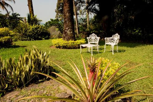 two white chairs sitting in the grass in a yard at Argovia Ecolodge in Tapachula