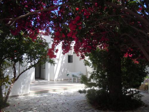 House with Garden Wala