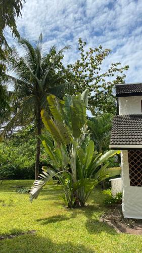 a plant in the grass next to a building at Pinewood Beach Resort and Spa in Diani Beach