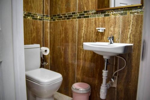 La salle de bains est pourvue de toilettes et d'un lavabo. dans l'établissement Green Castle Apartment#3 in City of Roseau, à Roseau