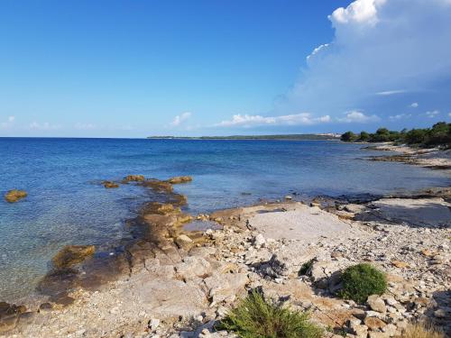 Spiaggia vicina o nei dintorni dell'appartamento