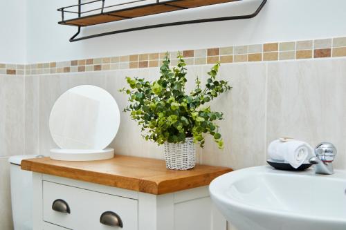 a bathroom with a sink and a vase with a plant at Delven House, Apartment 1 in Castle Donington