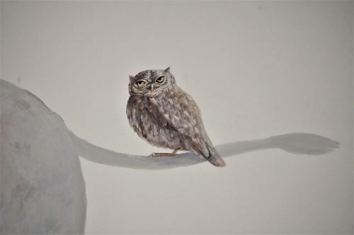 an owl is sitting on a tree branch at Hotel Baldo in Ferraro di Monte Baldo