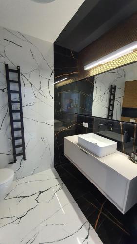 a bathroom with a white sink and a mirror at Lividus 432 By Edyta in Świnoujście