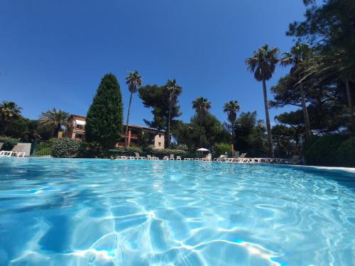 a large pool of blue water with palm trees at Appartement en résidence privée, face à la mer avec accès direct plage in Hyères
