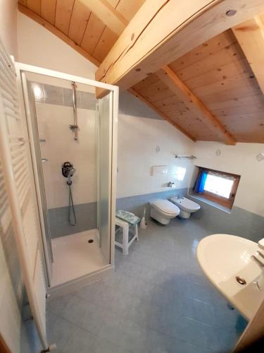 a bathroom with a shower and a toilet and a sink at Bait da Sant'Antoni in Livigno