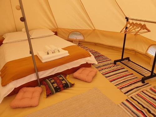 Gallery image of Glamping -Texas Glamping in Novaci